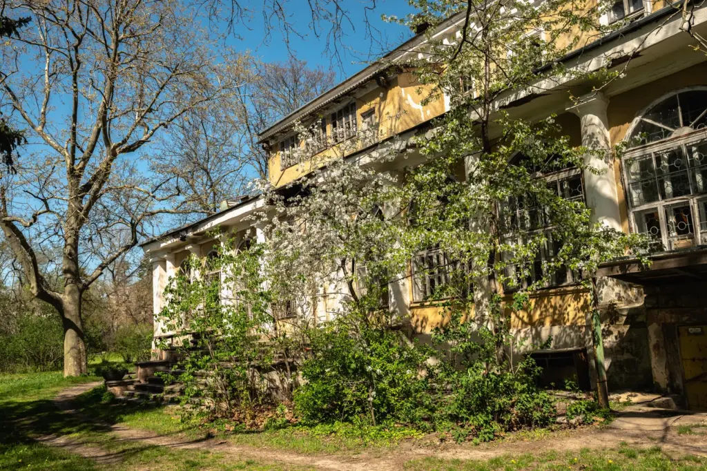 Vacant inherited house with peeling paint and overgrown landscaping after years of delay