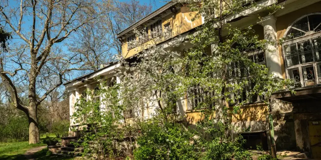 Vacant inherited house with peeling paint and overgrown landscaping after years of delay